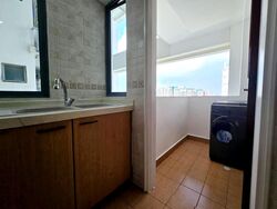 Aquarius By The Park (D16), Condominium #632462751